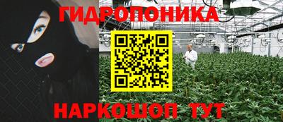 стафф Пугачёв